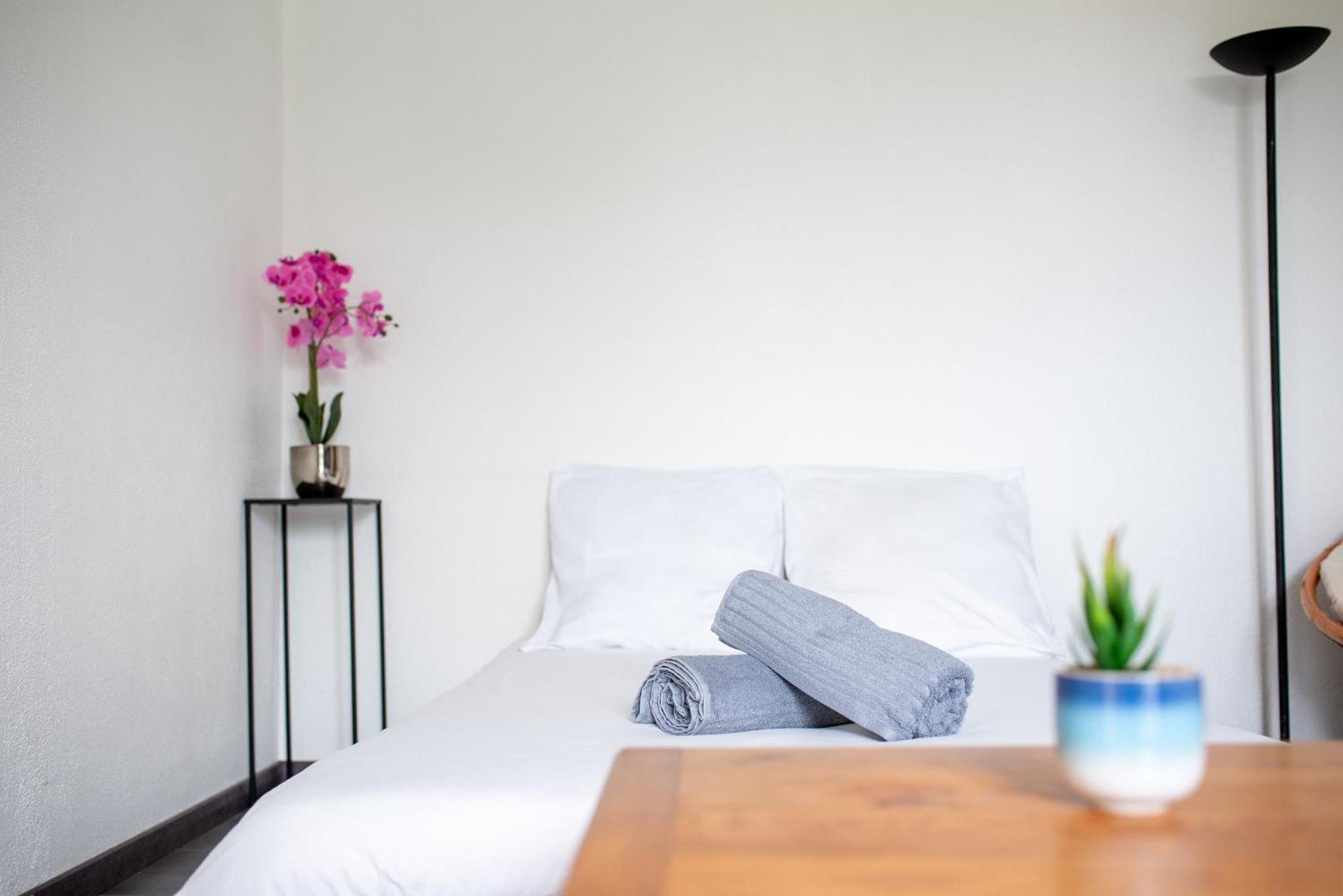 T2 Rangueil - Terrasse + 2 Parkings - 4 Personnes Apartman Toulouse Kültér fotó